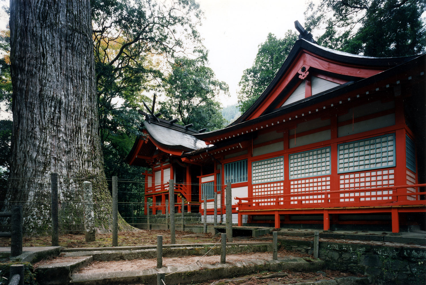 十根川神社と八村スギ