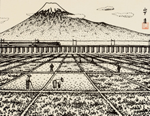 RuC܏\OExmigjvŉ(c)Kiyoshi Yamashita / STEPeast 2023