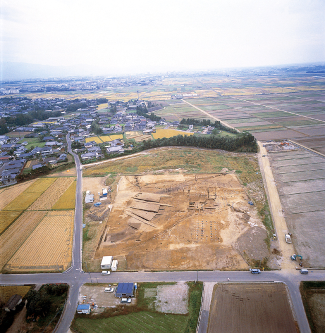 大島畠田遺跡遠景（北より）