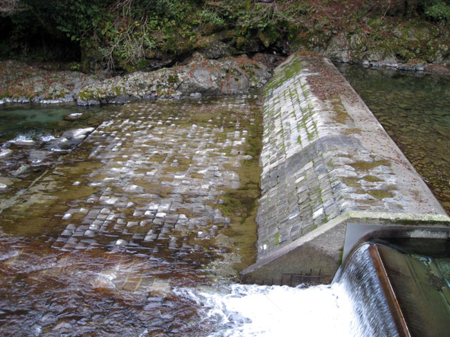 享保水路井堰２