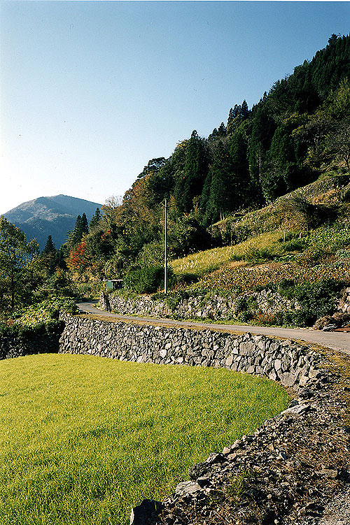 石垣と道路