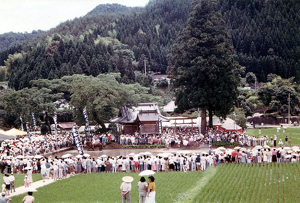 中の宮田と年の神神社