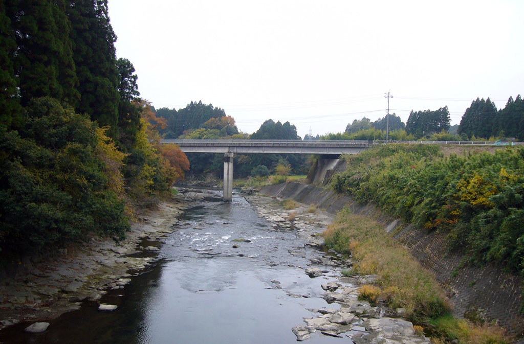 オオヨドカワゴロモ自生地（岩瀬川）