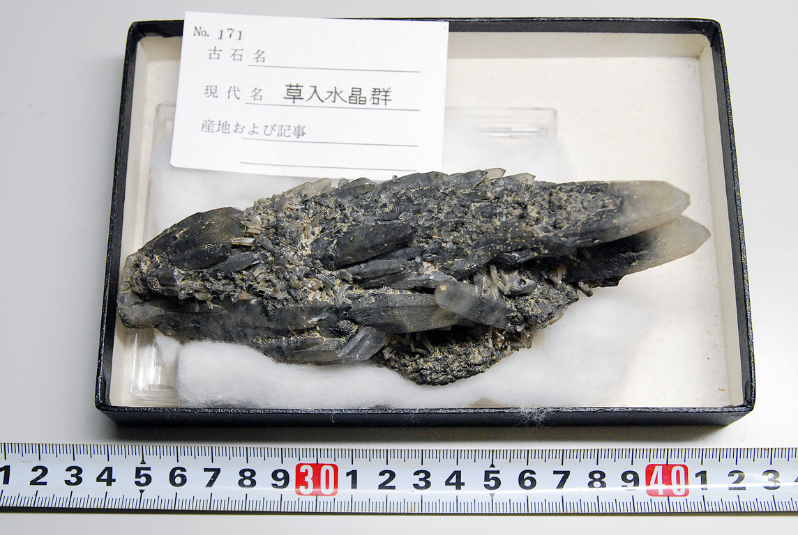 草入水晶群（採集地不明）