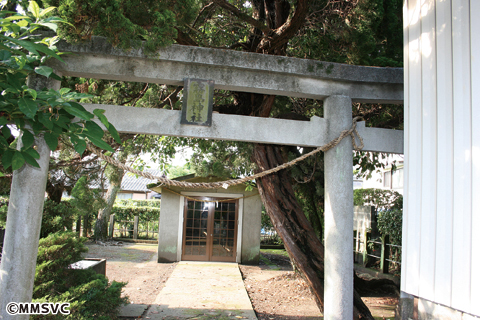 006霧島神社平原