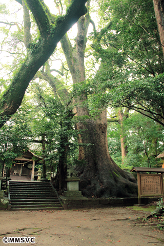 026瓜生野八幡神社_1