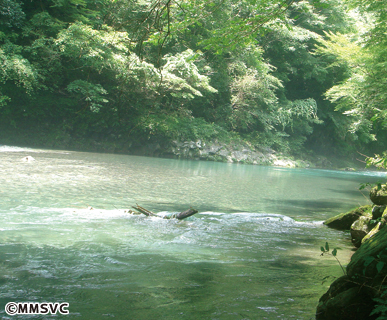 118岩戸川