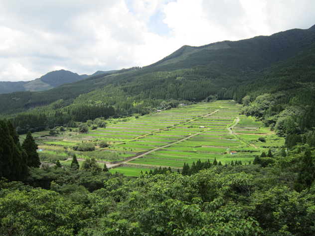 酒谷の坂元棚田及び農山村景観