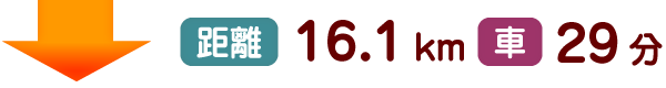 距離16.1km 車29分