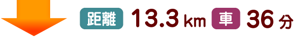 距離13.3km 車36分