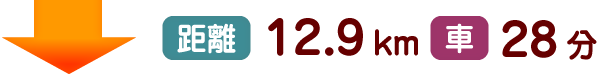 距離12.9km 車28分