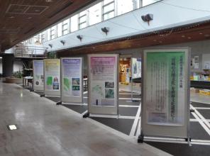 パネル展（川南町立図書館）展示状況