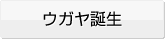 ウガヤ誕生