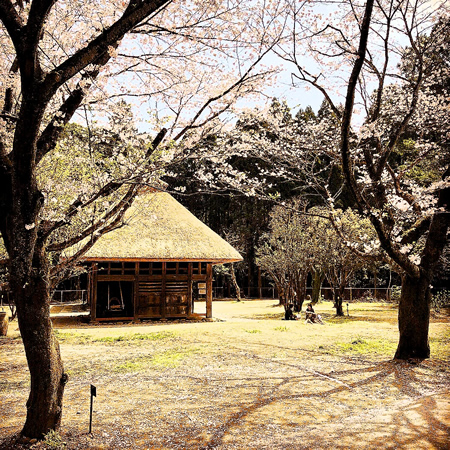 春の民家園