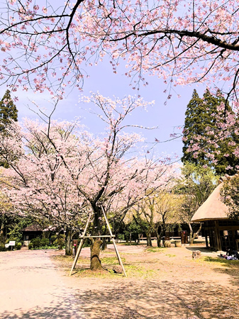 春の民家園