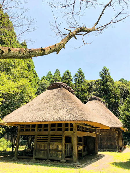 夏の民家園