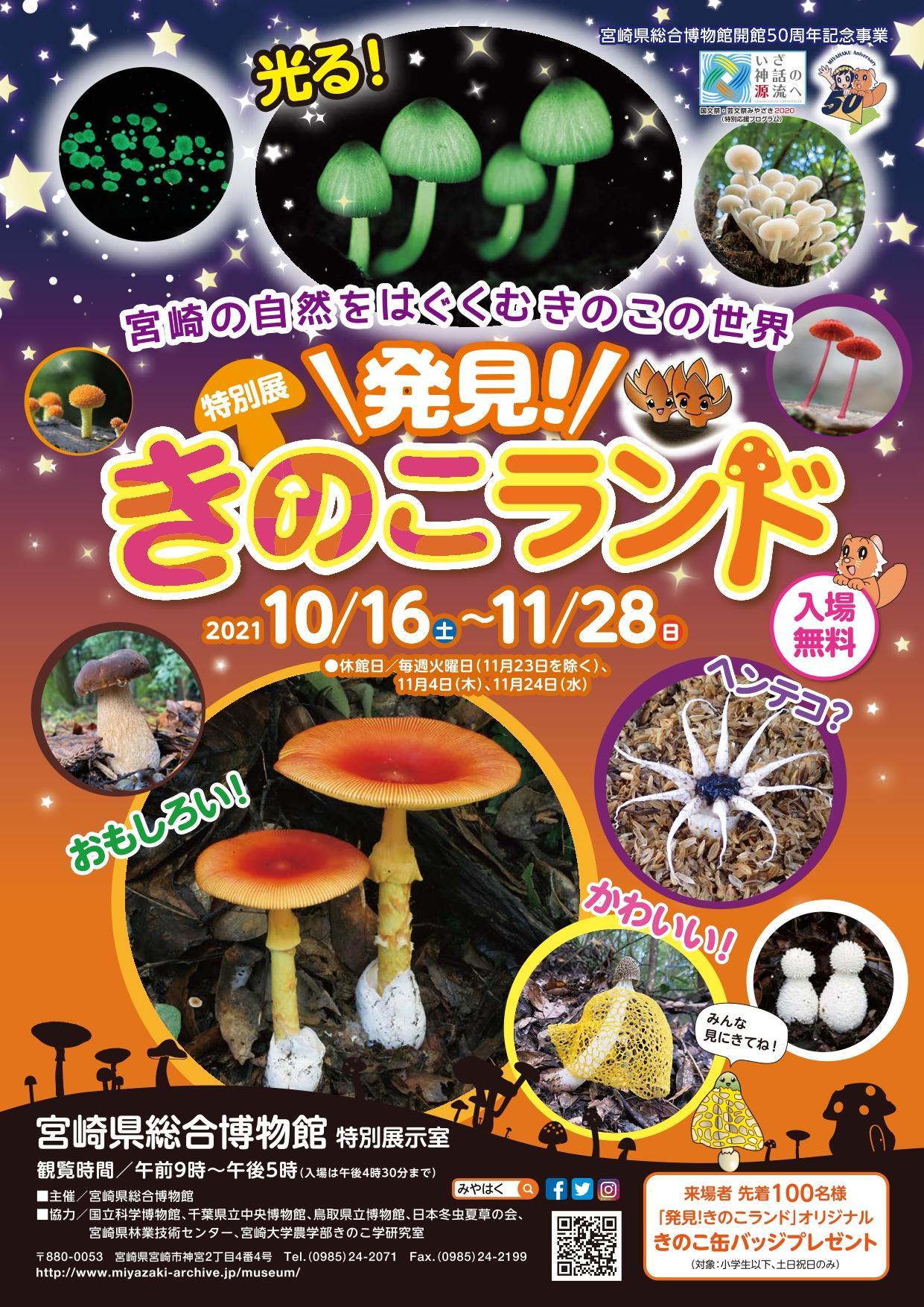 発見 きのこランド 宮崎県総合博物館 みやはく 発見 きのこランド 宮崎県総合博物館 みやはく