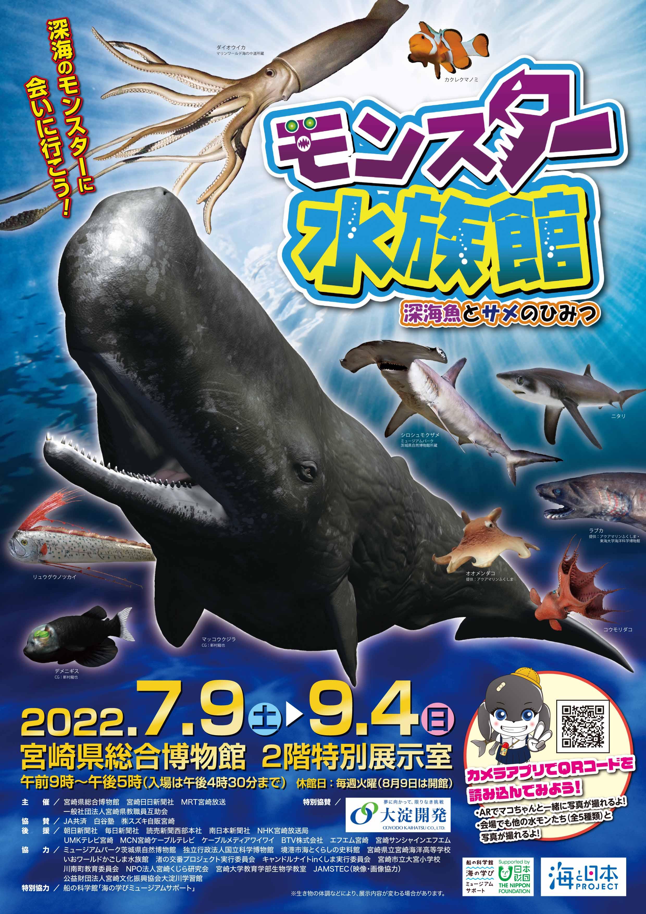 新商品のご案内！海の生き物たち