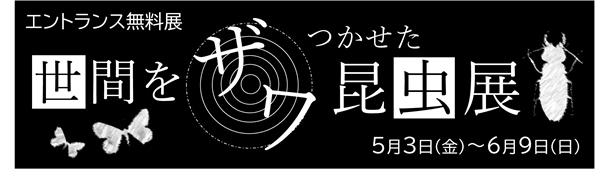 世間をザワつかせた昆虫展